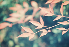 英國修訂玩具法規(guī)